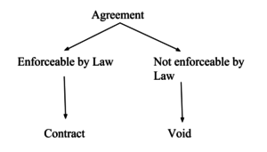 law of contracts introduction