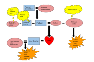 clat logical reasoning blood relations