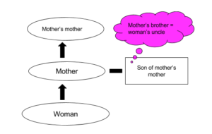 clat logical reasoning blood relations