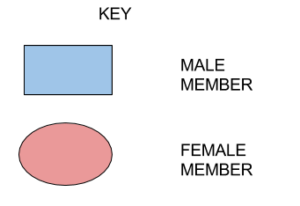 clat logical reasoning blood relations