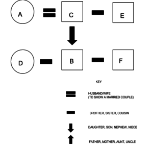 clat logical reasoning blood relations