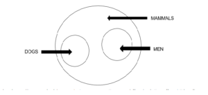 clat logical reasoning syllogisms