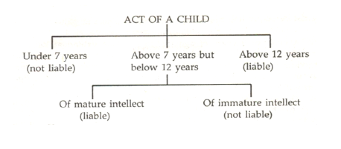 criminal law exceptions