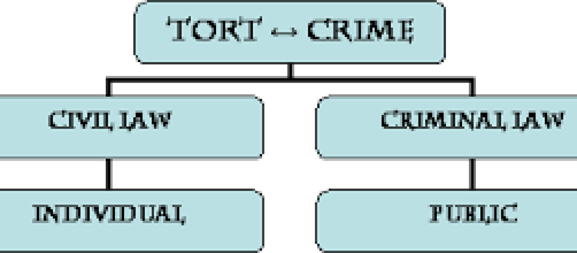 clat legal reasoning, civil wrong and criminal wrong